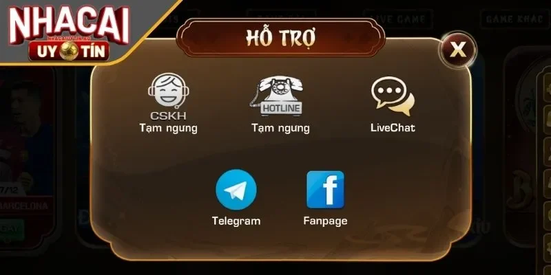 Tổng hợp những kênh hỗ trợ nhanh chóng cho newbie 