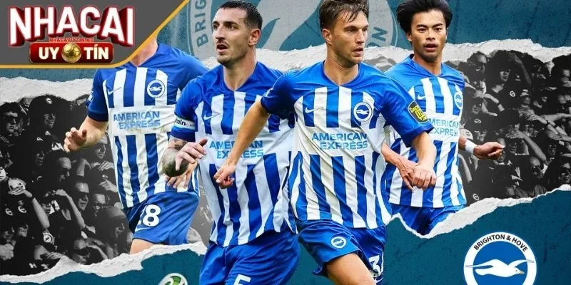 Brighton & Hove Albion về phong độ tại nhacaiuytin 